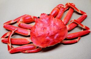 ズワイガニを楽しむ蟹尽くしの宿泊プランはどこがおすすめ？