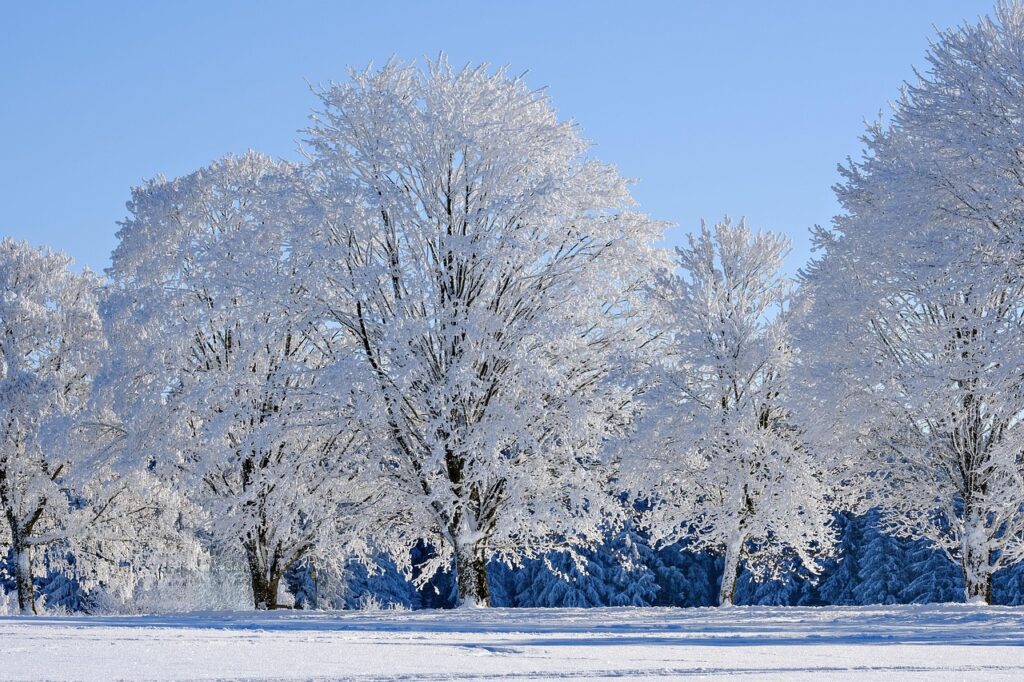 冬限定の蟹尽くしを楽しむための雪見露天と雪道運転注意ポイントは？