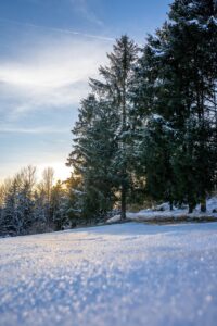 冬限定の蟹尽くしを楽しむカップル旅行に最適な雪見露天は？