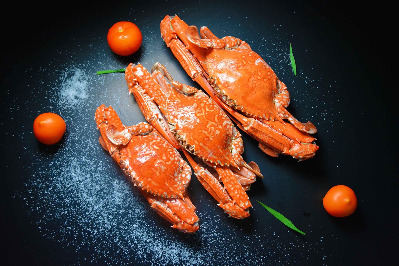 蟹尽くしと雪見露天が楽しめる温泉宿は三世代家族旅行に最適？