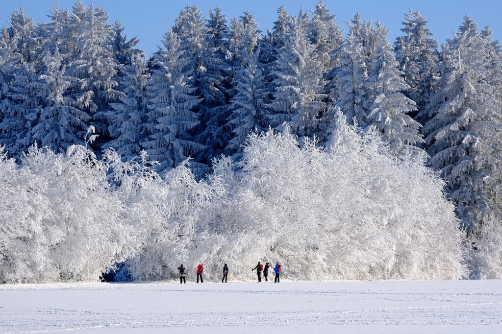 蟹尽くしと雪見露天が楽しめる日本海側の冬の絶景ポイントは？