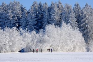 蟹尽くしと雪見露天が楽しめる日本海側の冬の絶景ポイントは？